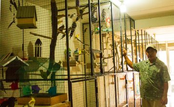 El dueño del hotel de las aves La Periquera