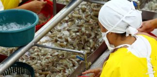 Exportación Centroamérica