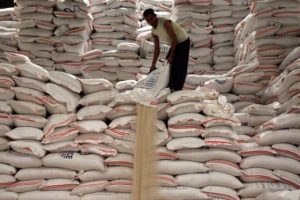 Precios del arroz importado caen 31% en Centroamérica