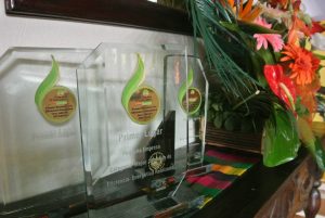Premios de Hotel Árbol Flor de Fuego