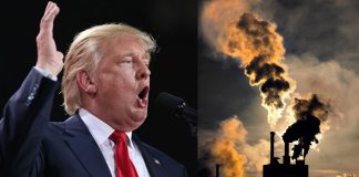 Trump y el Acuerdo de Paris: ¿Cuál será el futuro del cambio climático?