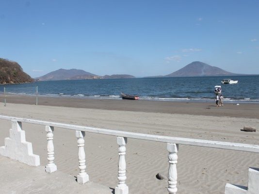 Dolphin Tours: ¿Cómo logras una conexión con la naturaleza?