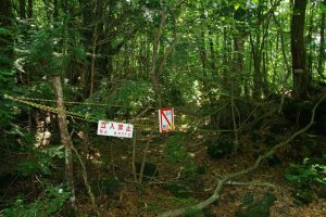 Turisto de terror: El bosque de los suicidios