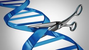  CRISPR: ¿La investigación genética ha ido demasiado lejos?