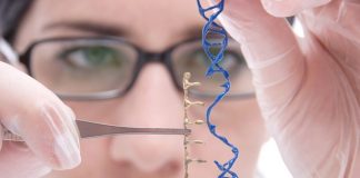 CRISPR: ¿La investigación genética ha ido demasiado lejos?