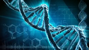 Corrección del ADN elimina padecimiento sanguíneo