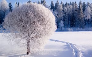 ¿Qué es realmente el invierno?