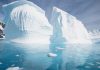 La supervivencia de los microbios en la Antártida