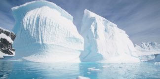 La supervivencia de los microbios en la Antártida