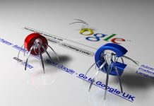 ¿Sabes cuáles son las arañas de Google?