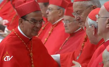 Monseñor Rosa Chávez es nombrado cardenal, un hito del catolicismo salvadoreño