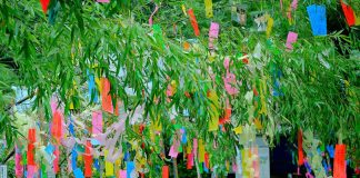 ¿Por qué Yume no Saiten Tanabata?