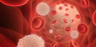 ¿Pueden los glóbulos blancos aliviar la inflamación?