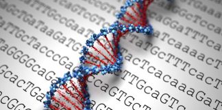 Corrección del ADN elimina padecimiento sanguíneo