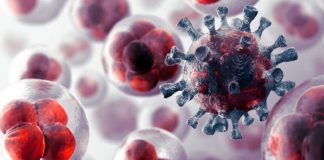 ¿Existe un tratamiento que logra que las células cancerígenas se autodestruyan?