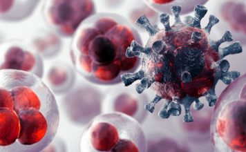 ¿Existe un tratamiento que logra que las células cancerígenas se autodestruyan?