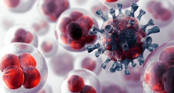 ¿Existe un tratamiento que logra que las células cancerígenas se autodestruyan?