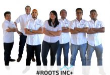 Roots Inc: Un servicio completo para las empresas